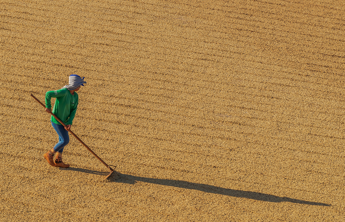 Rota do Café do Cerrado.