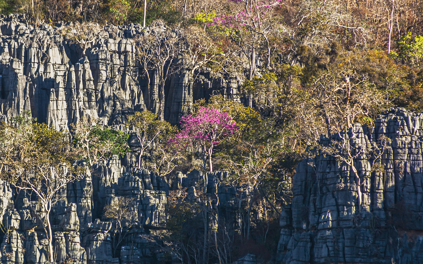 Parque Nacional do Peruaçu.