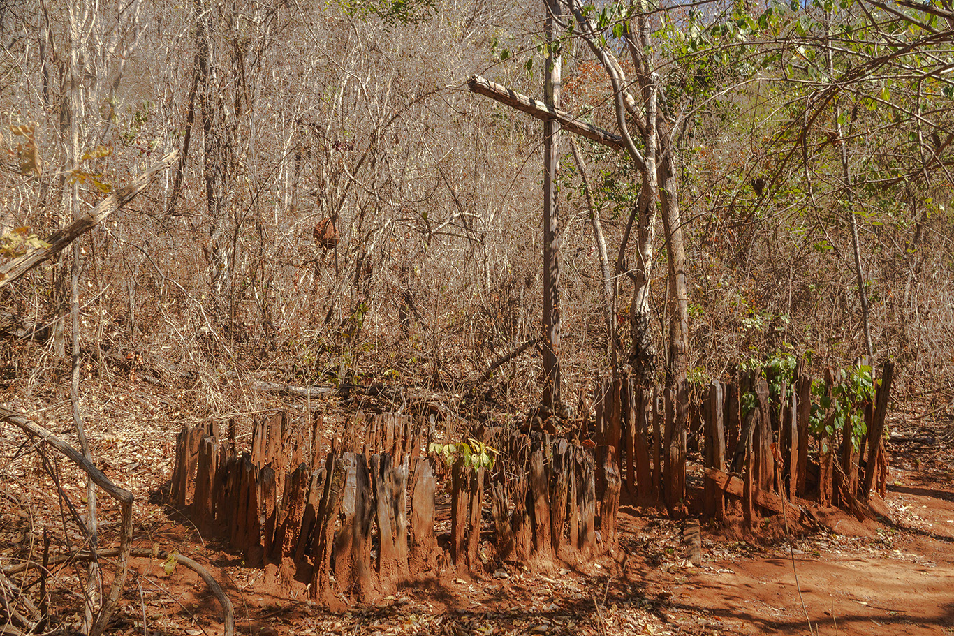 Parque Nacional do Peruaçu.