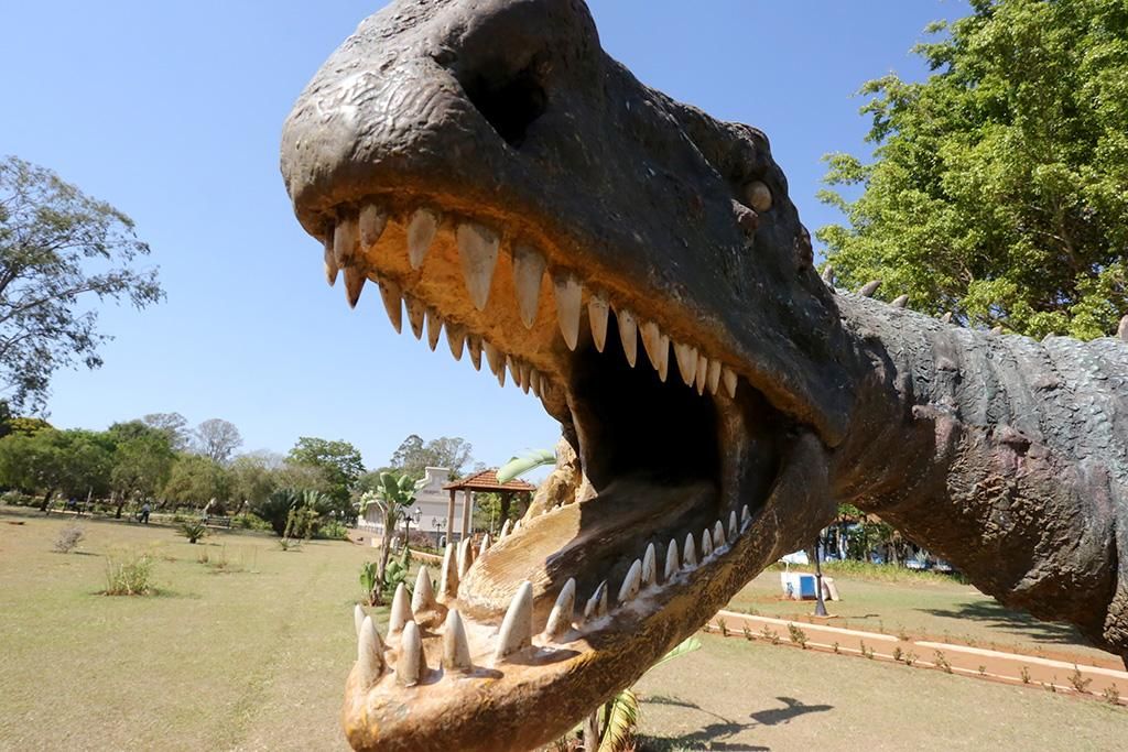 Uberaba.
