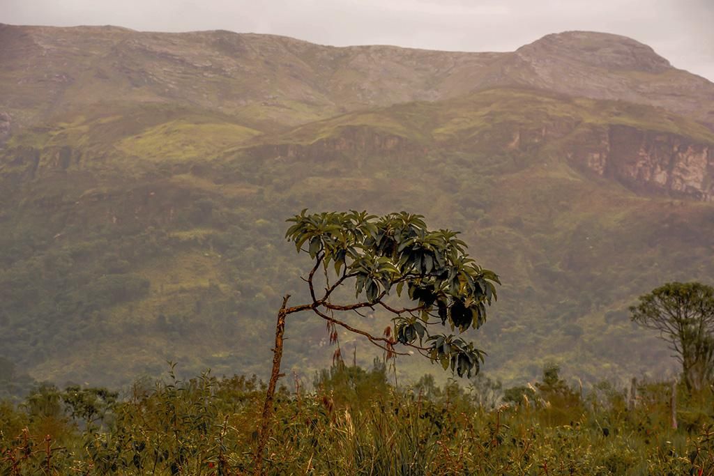 Serra dos Alves