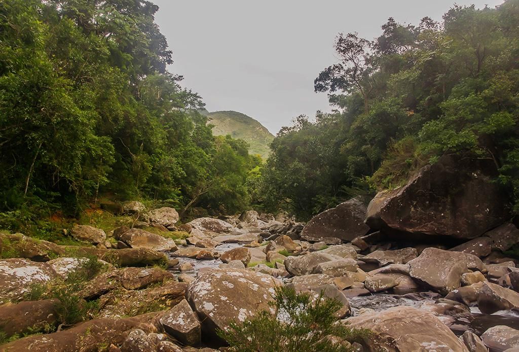 Serra dos Alves