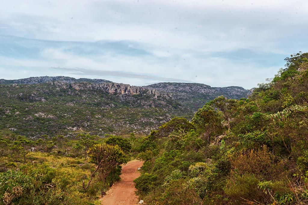 Parque Nacional das Sempre-Vivas.