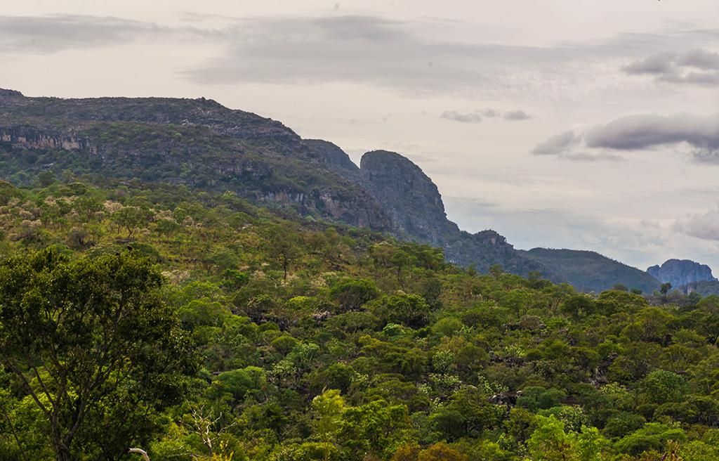 Parque Nacional das Sempre-Vias.