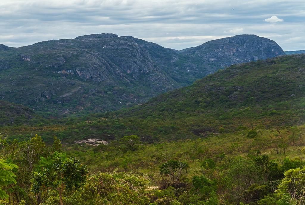 Pàrque Nacional das Sempre-Vivas.