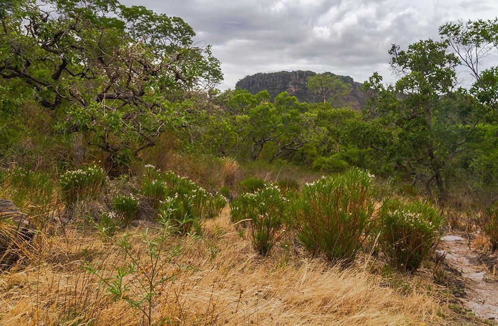 Parque Nacional das Sempre-Vivas.